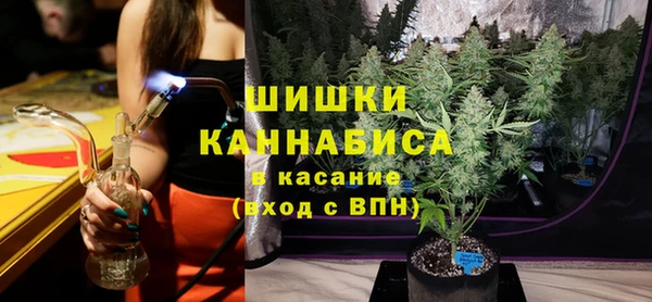 сатива Заволжье
