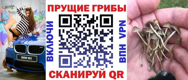 Галлюциногенные грибы GOLDEN TEACHER  Среднеколымск 