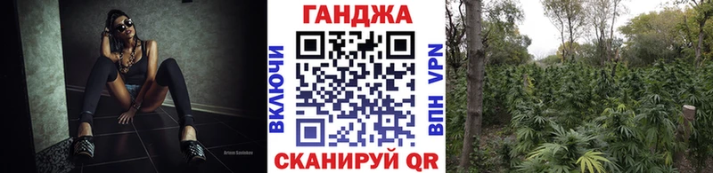 Бошки Шишки планчик  закладки  Среднеколымск 